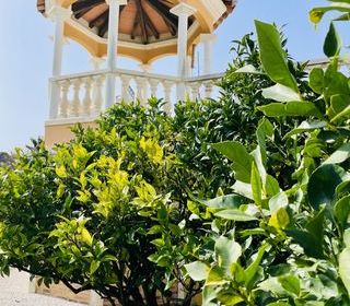  Maison � vendre 15 + pi�ces 630 m�