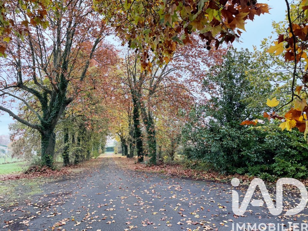 � vendre  Maison Castelsarrasin (82100)