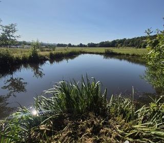  Terrain � vendre 5316 m�