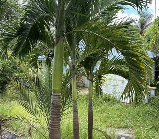  Maison � vendre 4 pi�ces 51 m�