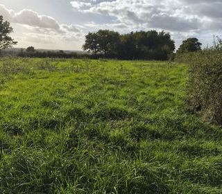  Terrain � vendre 4300 m�