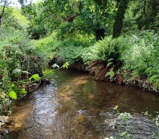  Maison � vendre 5 pi�ces 131 m�