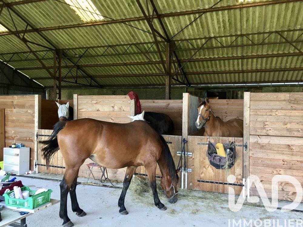 � vendre  Maison Nouzilly (37380)