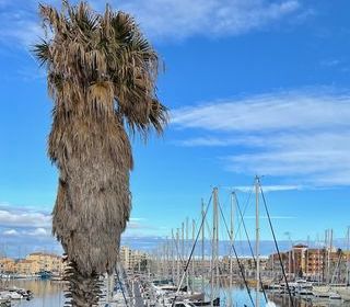  Appartement � vendre 2 pi�ces 30 m�