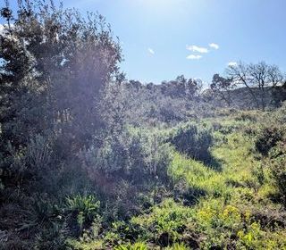  Terrain � vendre 4880 m�