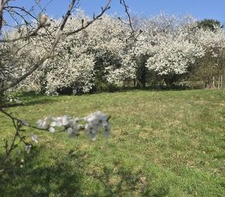  Terrain � vendre 1213 m�