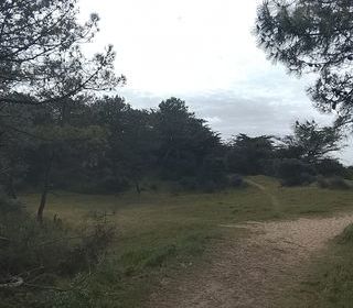  Appartement � vendre 3 pi�ces 45 m�