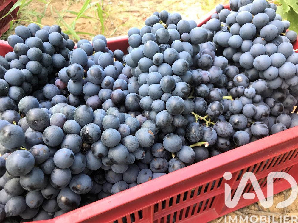 � vendre  Maison L'Isle-sur-la-Sorgue (84800)