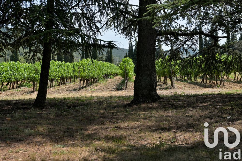 � vendre  Maison Tr�bes (11800)