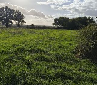  Terrain � vendre 4300 m�