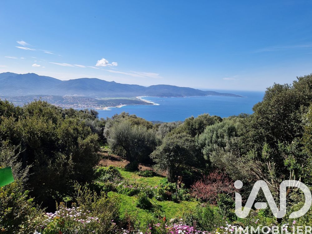 � vendre  Maison Olmeto (20113)