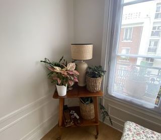  Appartement � vendre 3 pi�ces 46 m�