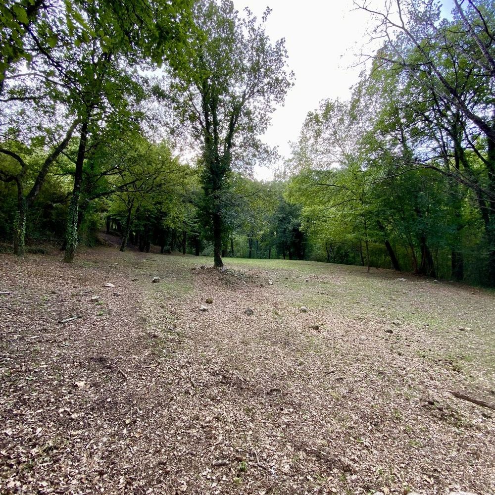 � vendre  Maison La Gaude (06610)