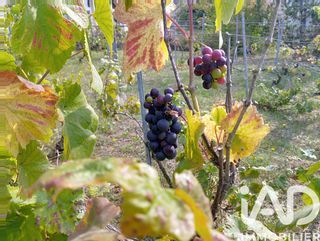  Immeuble � vendre 2900 m�