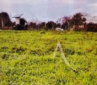  Terrain � vendre 607 m�