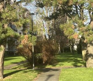  Appartement � vendre 5 pi�ces 96 m�