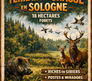  Terrain � vendre 153854 m�