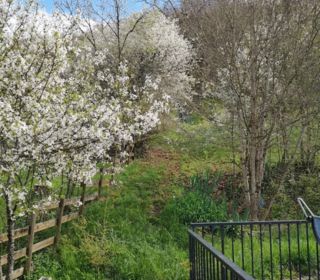  Appartement � vendre 4 pi�ces 85 m�