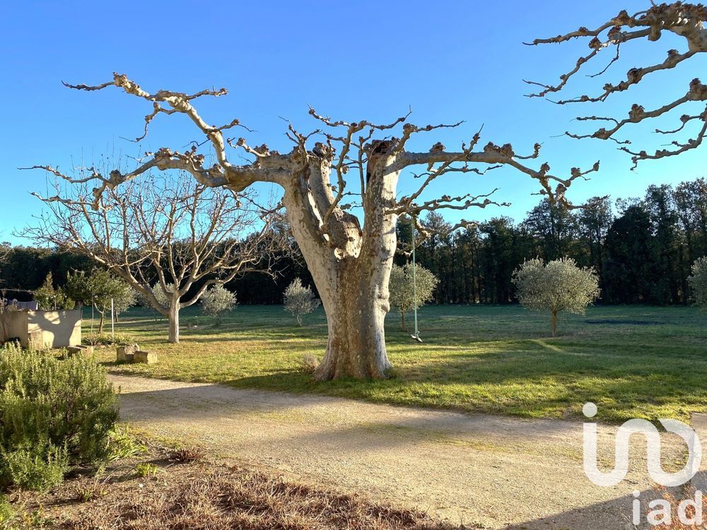 � vendre  Maison L'Isle-sur-la-Sorgue (84800)