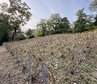  Terrain � vendre 749 m�