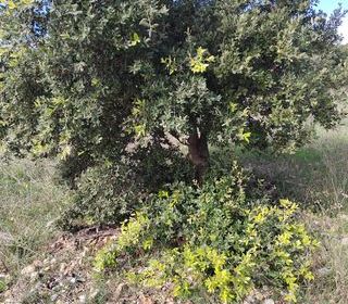  Terrain � vendre 4300 m�