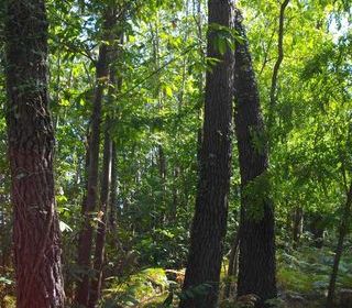  Terrain � vendre 4400 m�