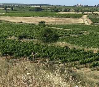  Terrain � vendre 52610 m�