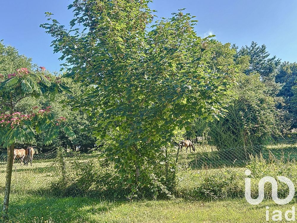 � vendre  Maison Saint-Av� (56890)