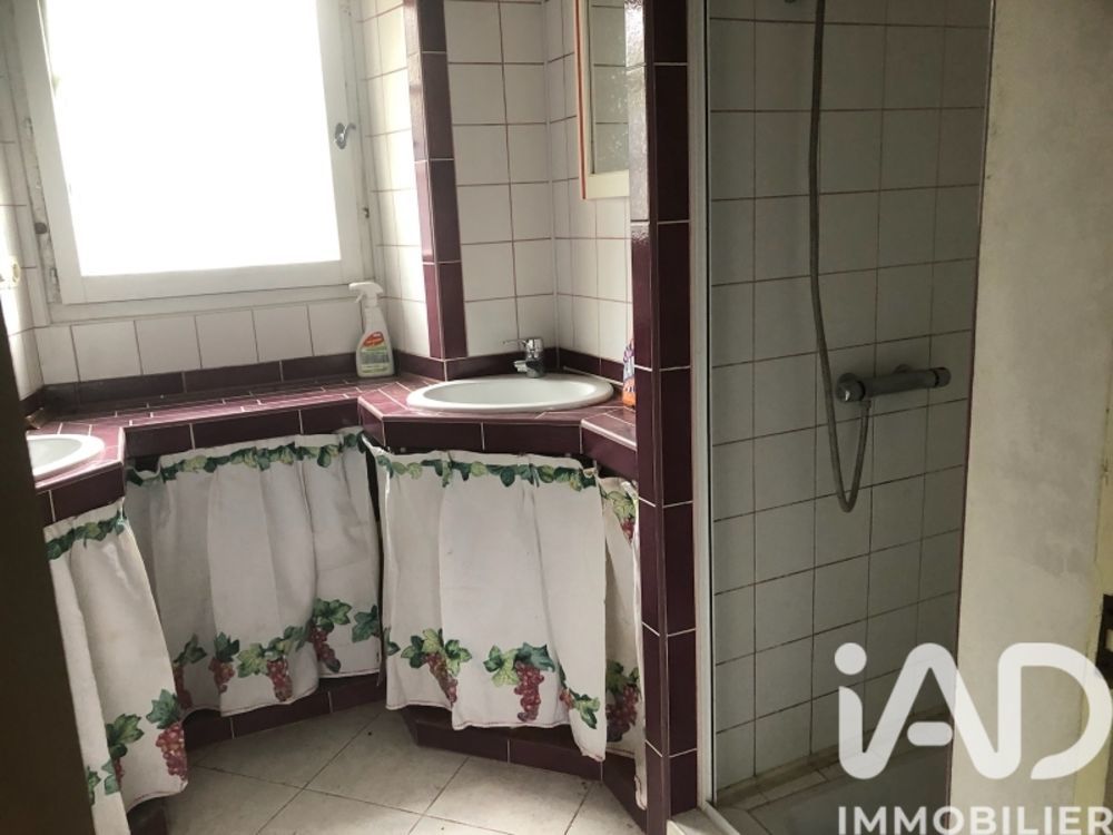 � vendre  Maison Neuill�-le-Lierre (37380)