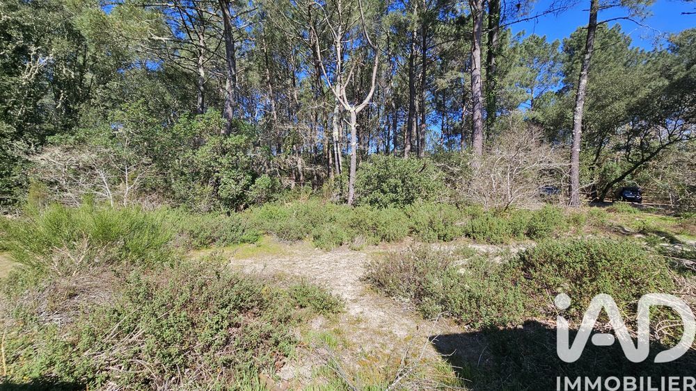 � vendre  Maison Lacanau (33680)