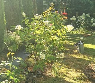  Maison � vendre 8 pi�ces 240 m�