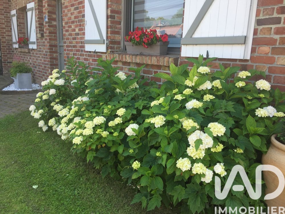 � vendre  Maison Gruson (59152)