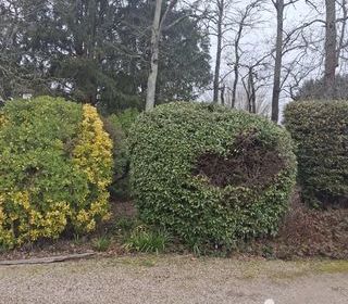  Immeuble � vendre 156 m�