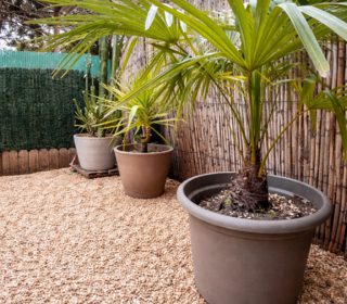  Appartement � vendre 2 pi�ces 43 m�