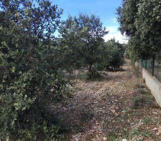  Terrain � vendre 4300 m�