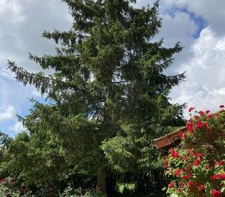  Maison � vendre 5 pi�ces 155 m�