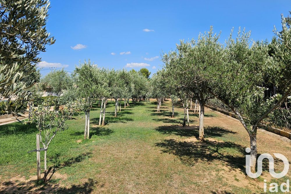 � vendre  Maison Arles (13200)