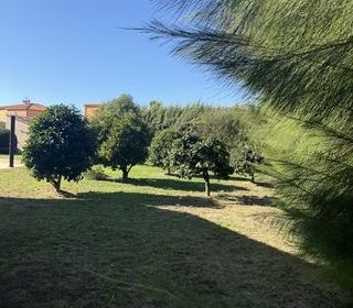  Maison � vendre 8 pi�ces 251 m�