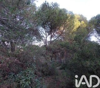  Terrain � vendre 4965 m�