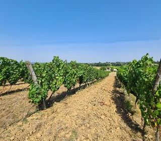  Terrain � vendre 20497 m�