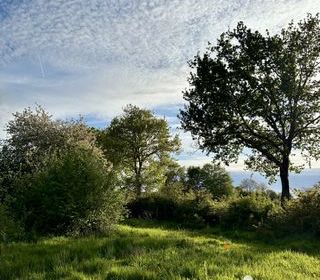  Terrain � vendre 820 m�