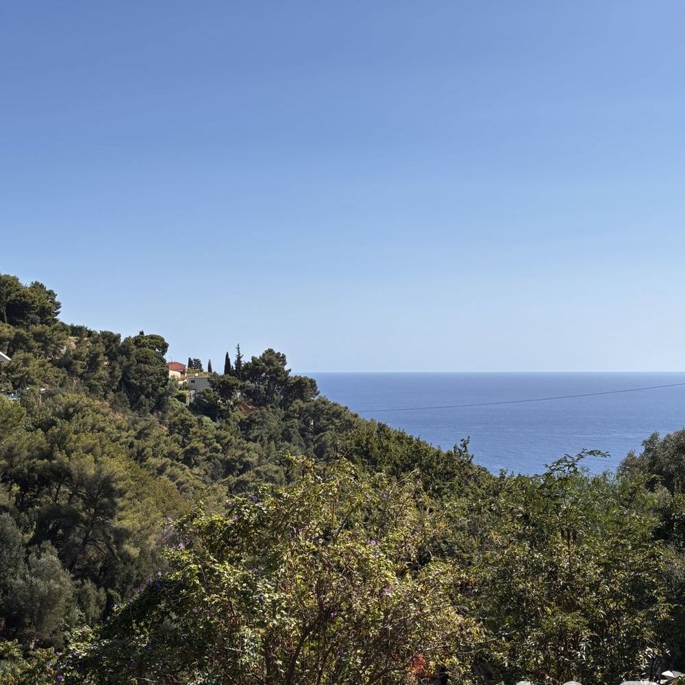 � vendre  Maison Roquebrune-Cap-Martin (06190)