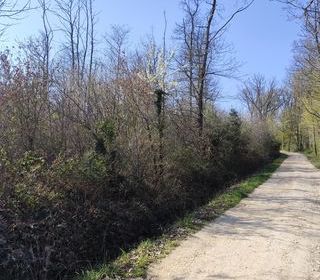  Terrain � vendre 33330 m�