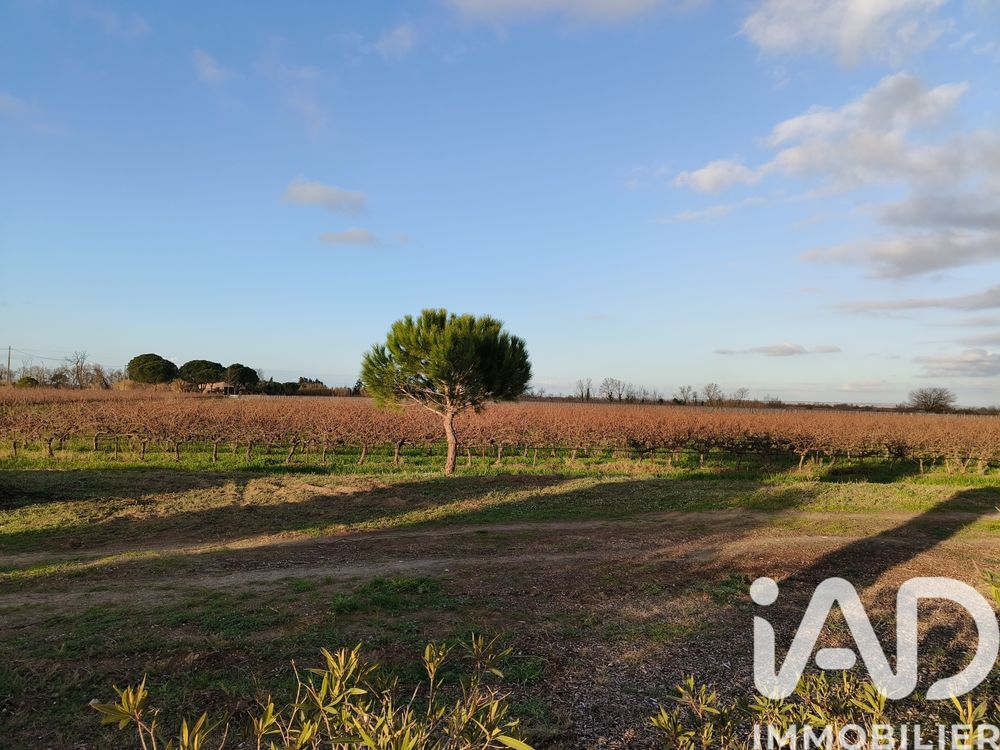 � vendre  Maison Saint-Laurent-d'Aigouze (30220)