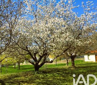  Terrain � vendre 8924 m�