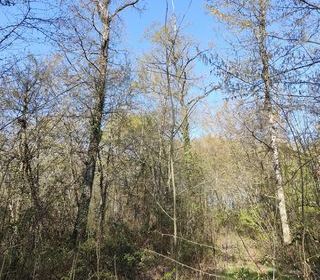  Terrain � vendre 48910 m�