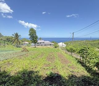  Terrain � vendre 1000 m�