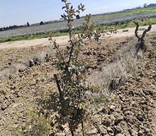  Terrain � vendre 4952 m�