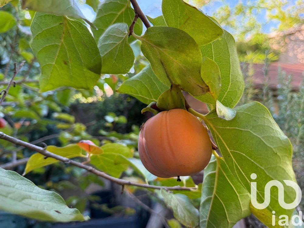 � vendre  Maison La Crau (83260)