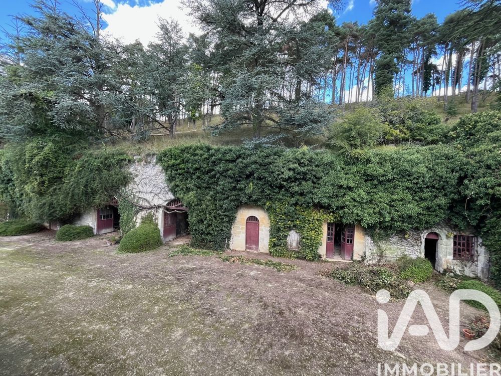 � vendre  Maison Ternay (41800)